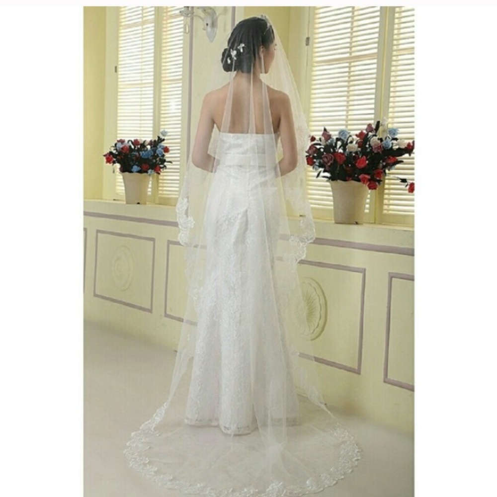 Elegant White Lace Bridal Veil - Picture 2 of 5